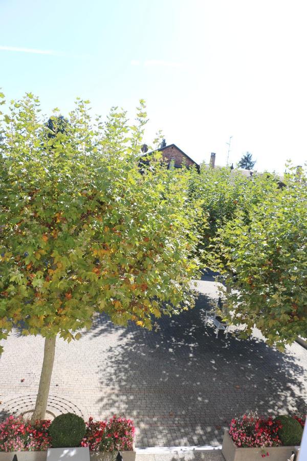 Auberge Au Lion D'Or Tannay Exterior foto